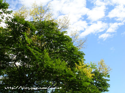 050924桃園忠烈祠及虎頭山公園33