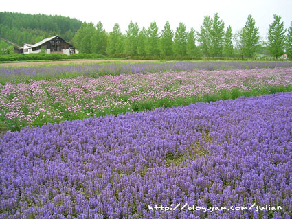 050610北海道22