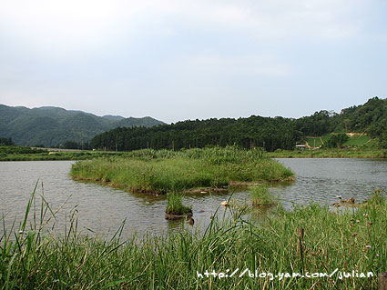 060721宜蘭員山15