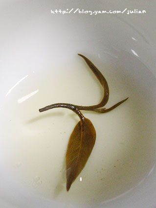 051210富興老茶廠10