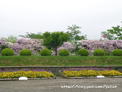 050612北海道19