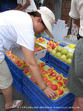 080802桃園四處遊15