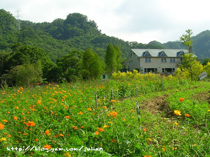 050903大溪富田花園農場7