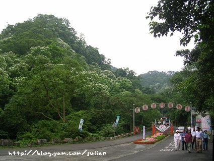 060430崑崙藥用植物園5