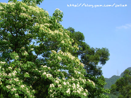 050430石碇永定國小3