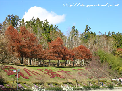 060115小瑞士花園2