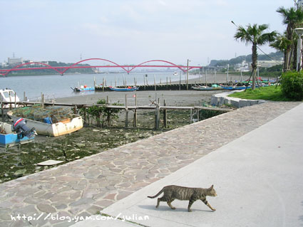060409八里9