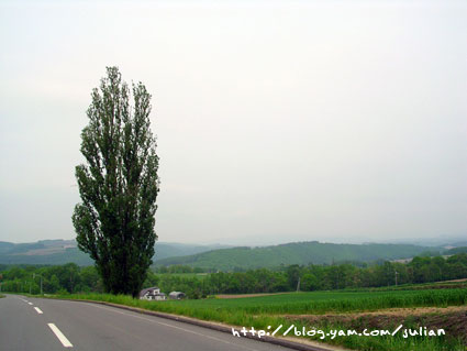 050610北海道18