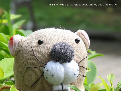 080504土撥鼠1