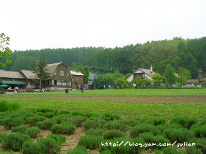 050610北海道21